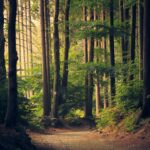 Keep e-Waste out of Landfills with New Program